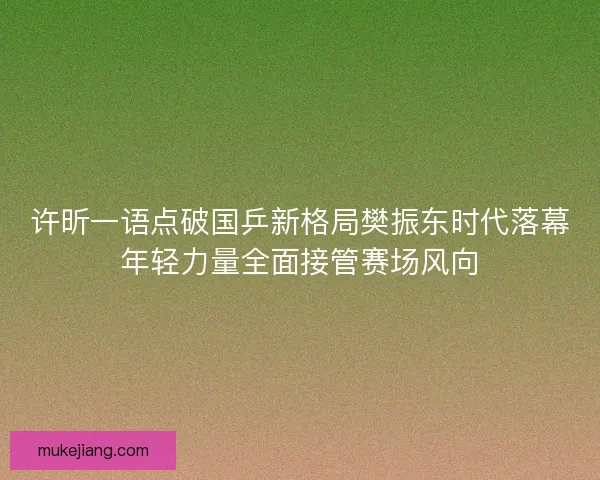 许昕一语点破国乒新格局樊振东时代落幕年轻力量全面接管赛场风向