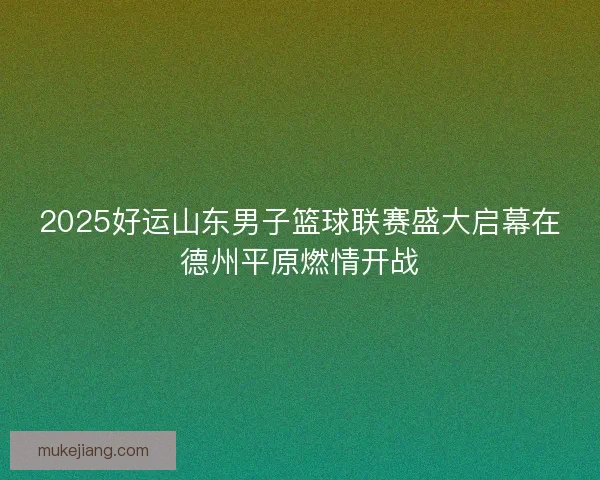 2025好运山东男子篮球联赛盛大启幕在德州平原燃情开战